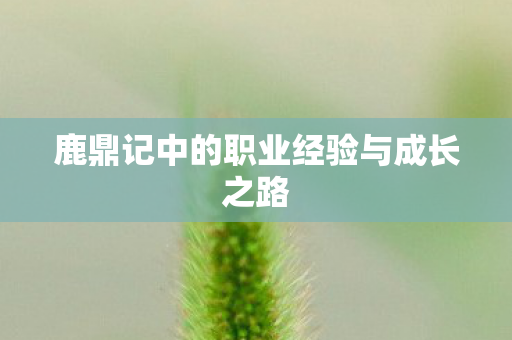 鹿鼎记中的职业经验与成长之路图片