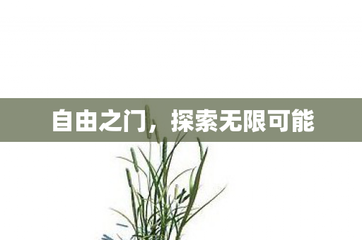 探索无限可能图片