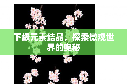 探索微观世界的奥秘图片