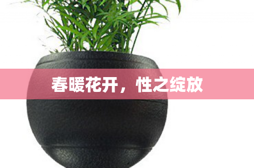 春暖花开图片