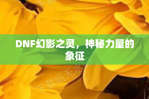 DNF幻影之灵图片