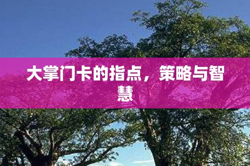 大掌门卡的指点图片