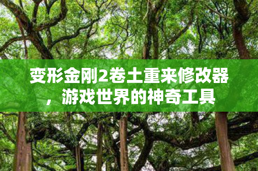 变形金刚2卷土重来修改器图片