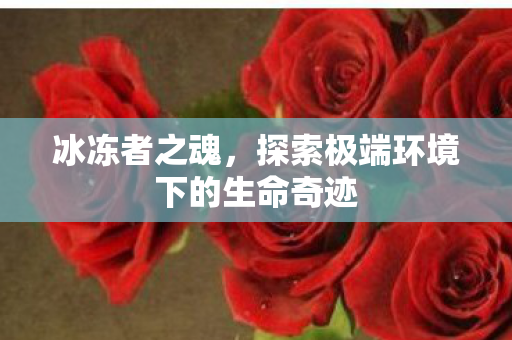 探索极端环境下的生命奇迹图片