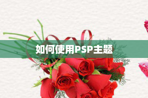 如何使用PSP主题图片