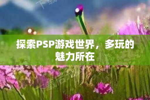 探索PSP游戏世界图片