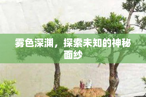 探索未知的神秘面纱图片