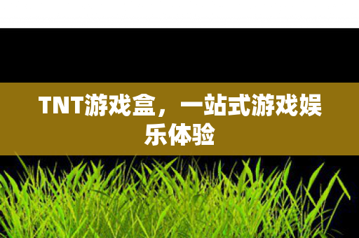 一站式游戏娱乐体验图片