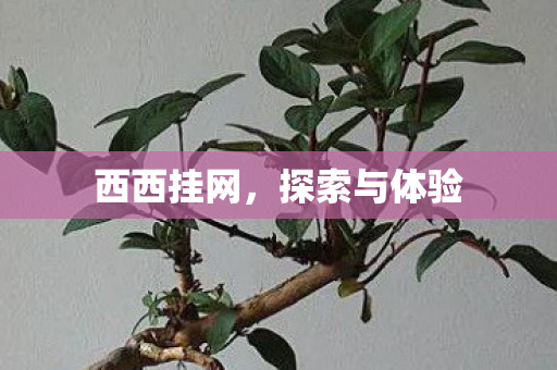 探索与体验图片