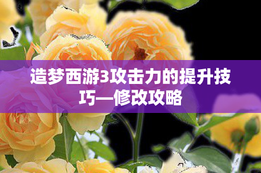 造梦西游3攻击力的提升技巧图片