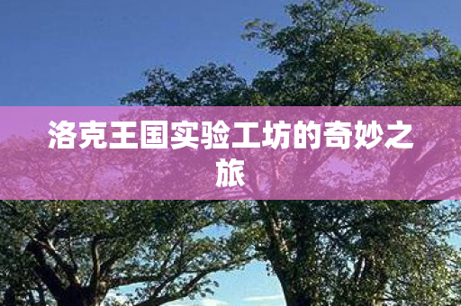 洛克王国实验工坊的奇妙之旅图片