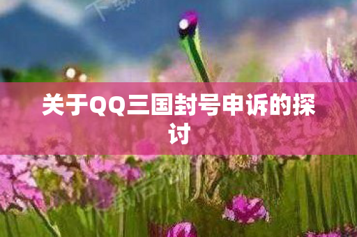 关于QQ三国封号申诉的探讨图片