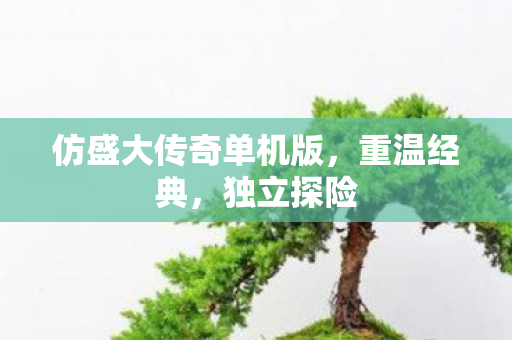 仿盛大传奇单机版图片
