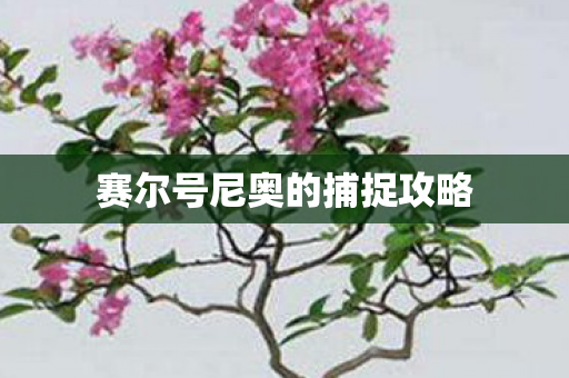 赛尔号尼奥的捕捉攻略图片