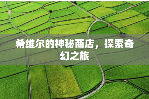 希维尔的神秘商店图片