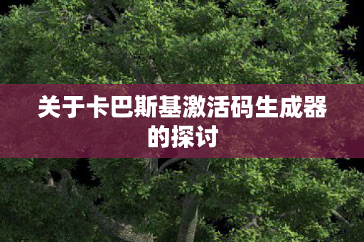 关于卡巴斯基激活码生成器的探讨图片