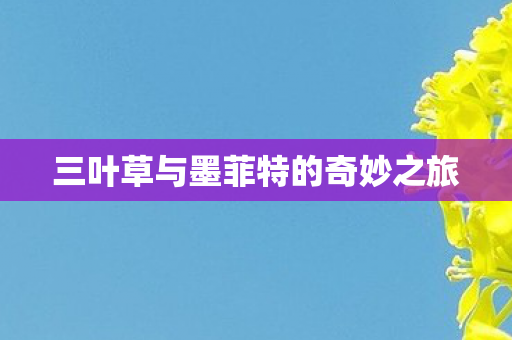三叶草与墨菲特的奇妙之旅图片