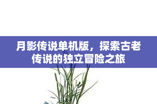 探索古老传说的独立冒险之旅图片