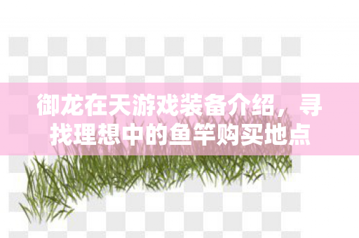 寻找理想中的鱼竿购买地点图片