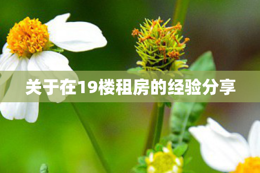 关于在19楼租房的经验分享图片