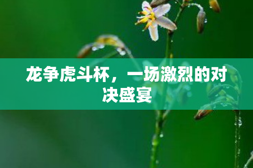 一场激烈的对决盛宴图片