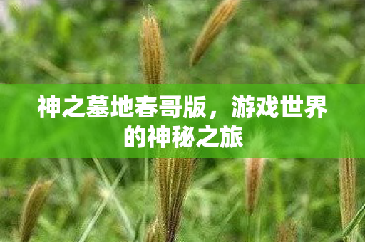 游戏世界的神秘之旅图片