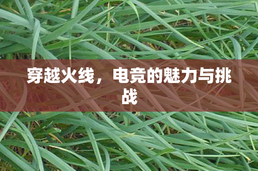 电竞的魅力与挑战图片