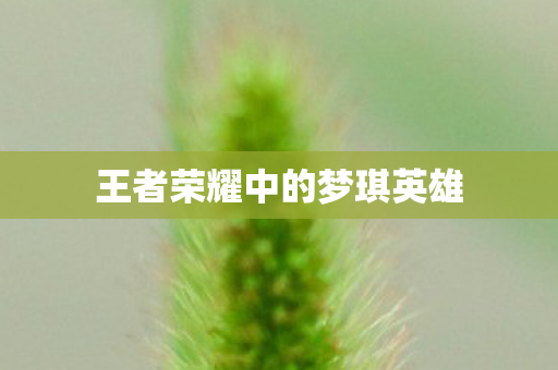 王者荣耀中的梦琪英雄图片