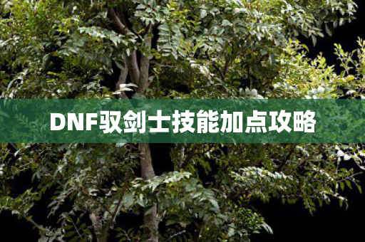 DNF驭剑士技能加点攻略图片