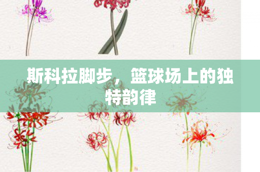 篮球场上的独特韵律图片