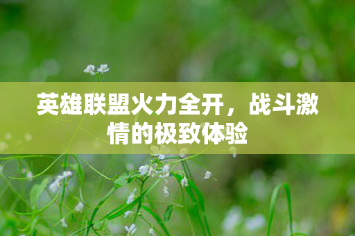 战斗激情的极致体验图片