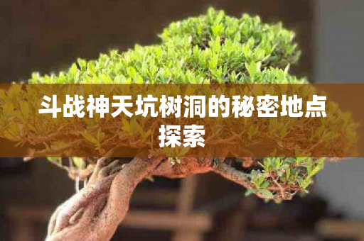 斗战神天坑树洞的秘密地点探索图片