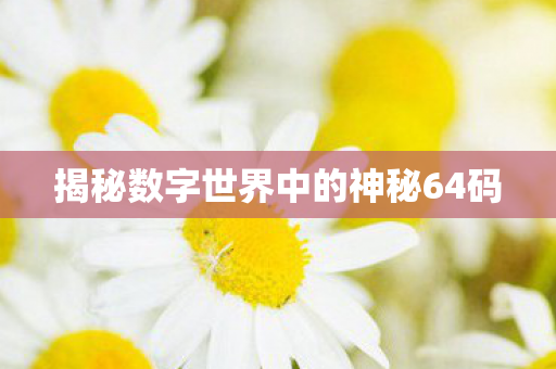 揭秘数字世界中的神秘64码图片