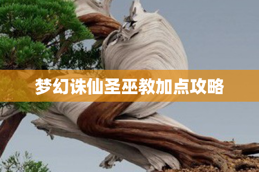 梦幻诛仙圣巫教加点攻略图片