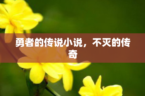 勇者的传说小说图片