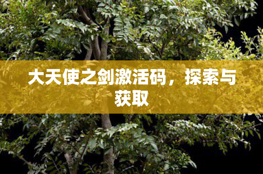 大天使之剑激活码图片