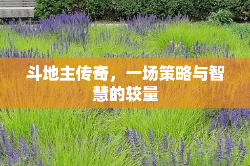 一场策略与智慧的较量图片