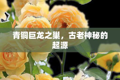 古老神秘的起源图片
