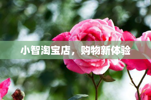 小智淘宝店图片