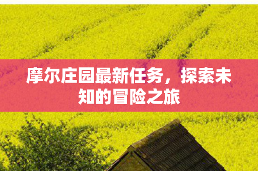 探索未知的冒险之旅图片