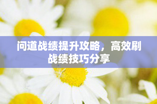高效刷战绩技巧分享图片