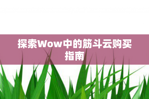 探索Wow中的筋斗云购买指南图片