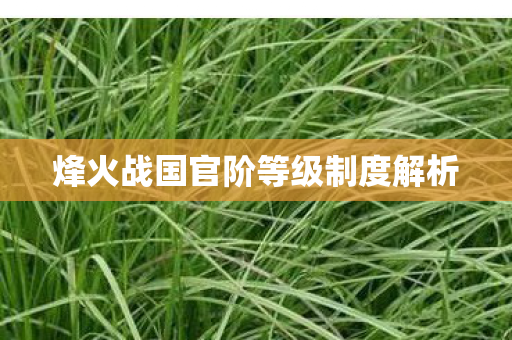 烽火战国官阶等级制度解析图片