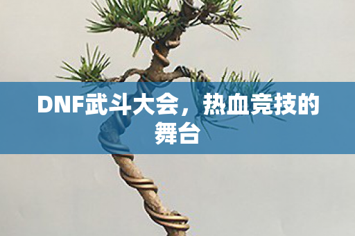 DNF武斗大会图片
