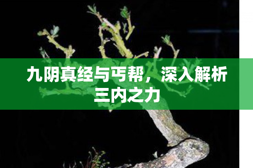 深入解析三内之力图片