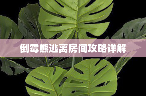 倒霉熊逃离房间攻略详解图片