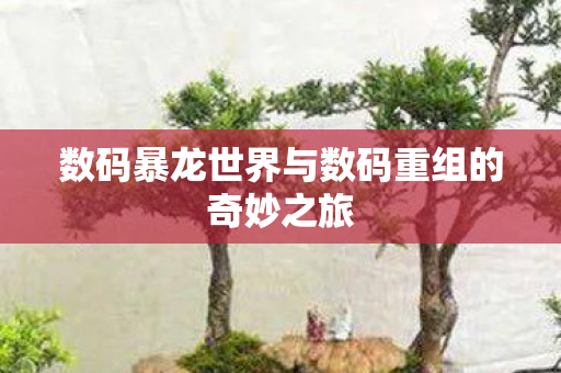 数码暴龙世界与数码重组的奇妙之旅图片