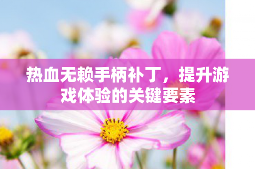 提升游戏体验的关键要素图片