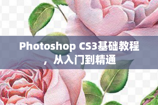 Photoshop CS3基础教程图片