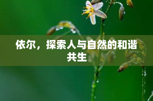 探索人与自然的和谐共生图片